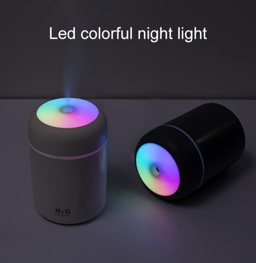 H2O Air Humidifier