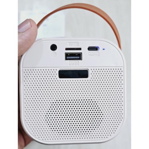 K12 RGB Karaoke Bluetooth Speaker with Two Microphone