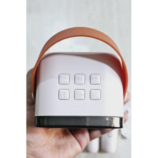 K12 RGB Karaoke Bluetooth Speaker with Two Microphone