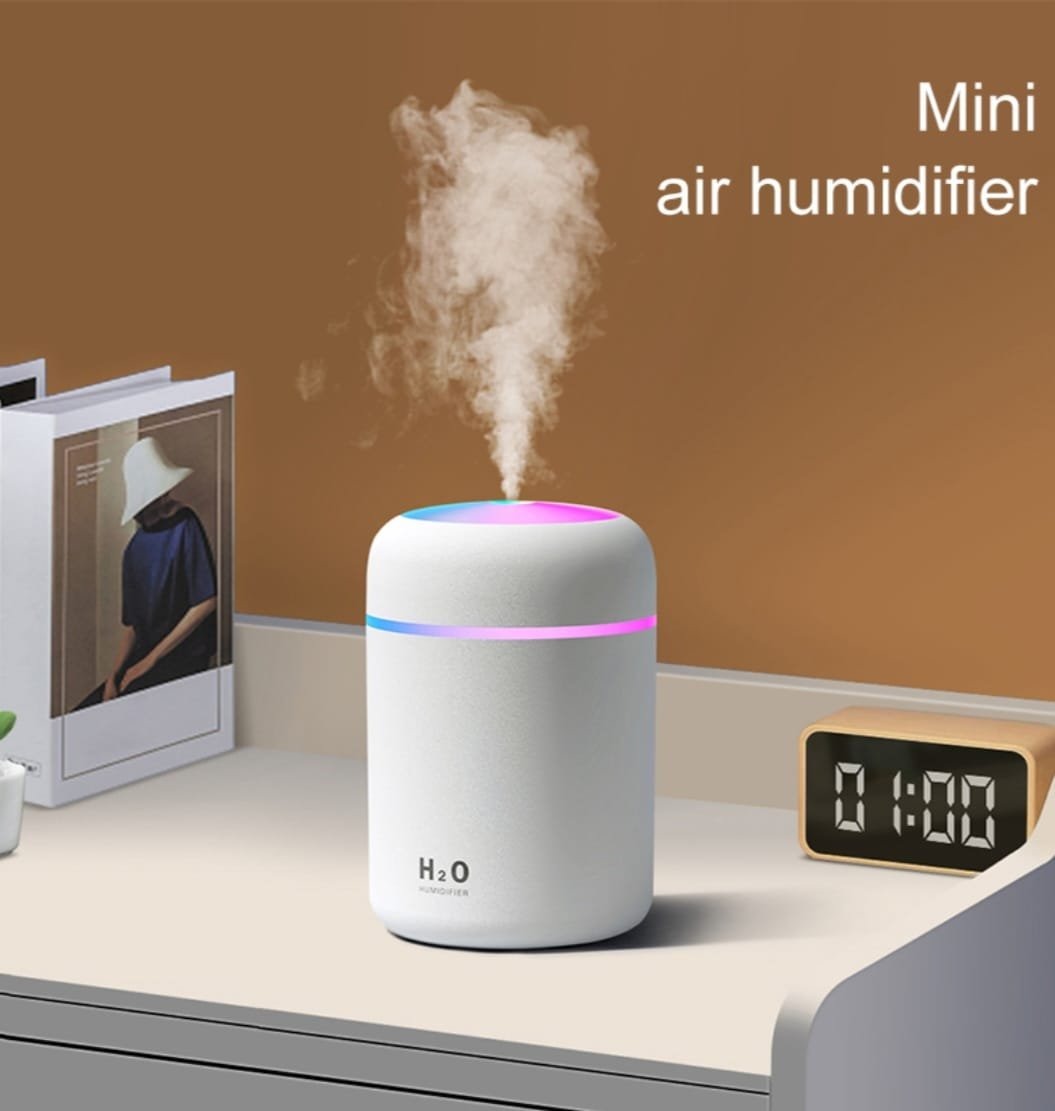 H2O Air Humidifier